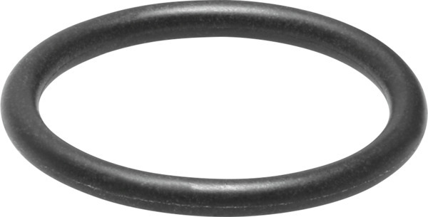 SASF-FW-S-E Joint d'étanchéité