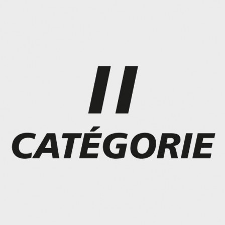 Gants en nitrile MechanicT. 10, bleu, 