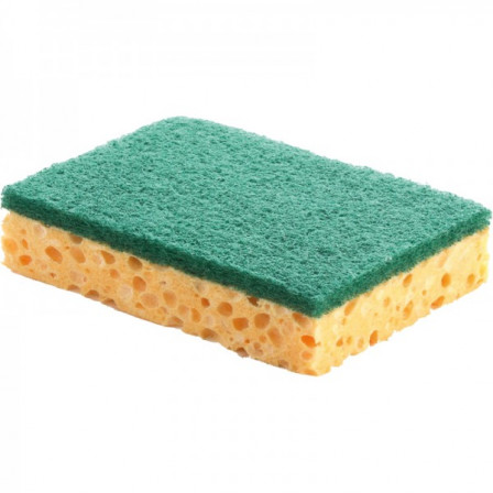 Lot de 10 ÉPONGES VÉGÉTALES AVEC RÉCURANT VERT
