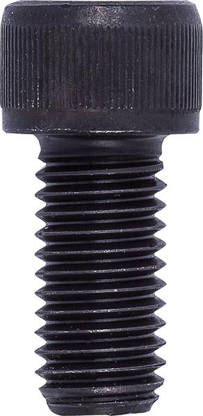 Vis pour mors rapporté T 100mm M6x16 