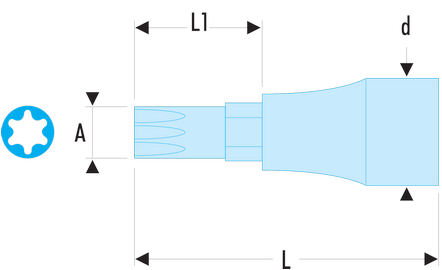 Douille tournevis à 6 cannelures