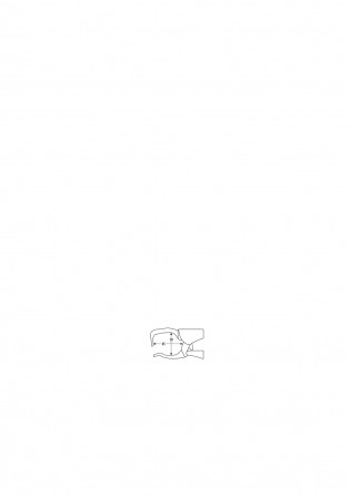 Pince-étau pour cornière