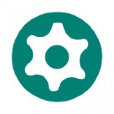 tournevis resistorx 10x80 mm