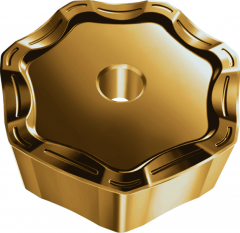 Heptagonales négatives  6980907