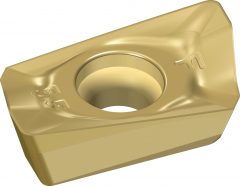 Rhombiques positives  7539644