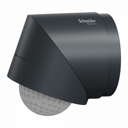 Wiser - Detecteur de mouvement et luminosite exterieur anthracite
