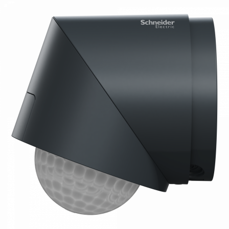 Wiser - Detecteur de mouvement et luminosite exterieur anthracite