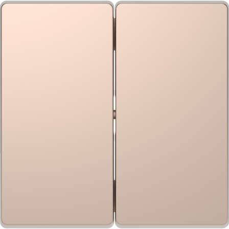 D-Life - enjoliveur pour commande double sans marquage - métal champagne