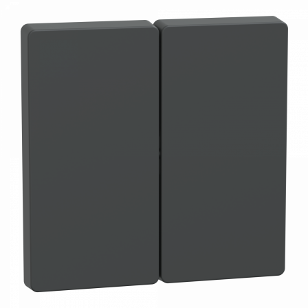 D-Life - enjoliveur pour commande double sans marquage - anthracite