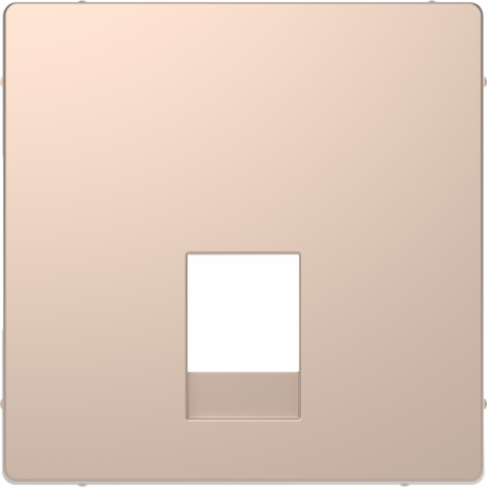D-Life - enjoliveur pour prise RJ11/RJ12 - métal champagne