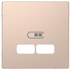 D-Life - enjoliveur pour prise USB - métal champagne