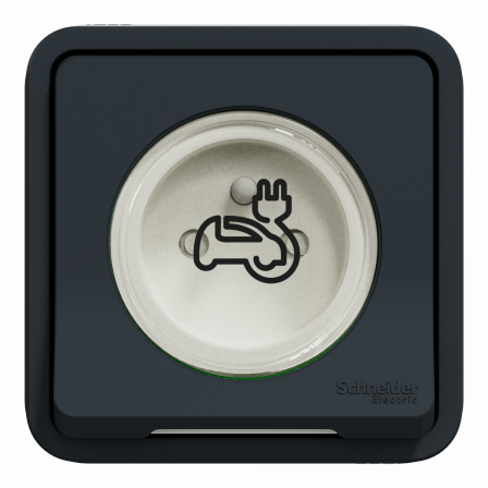 Mureva Styl - Prise courant 2P+T renforcée pour VE - IP55 IK08 - encastre - gris