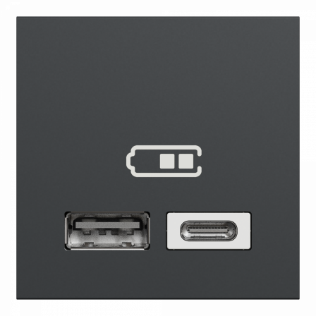 Unica - chargeur USB double - 5Vcc - 2,4A type A+C - 2 modul - anthr - méca seul