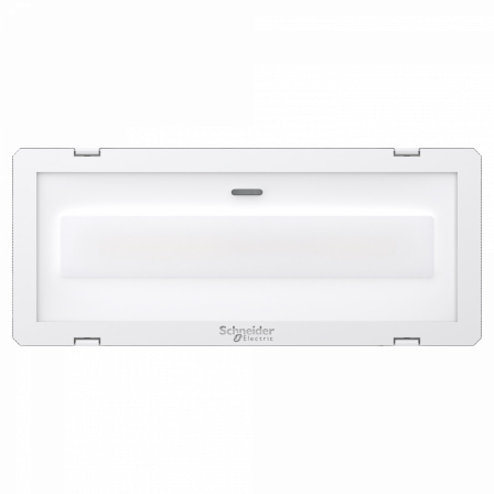 Exiway Smartled AMB 400lm - 1h IP 65 grand froid -25°C