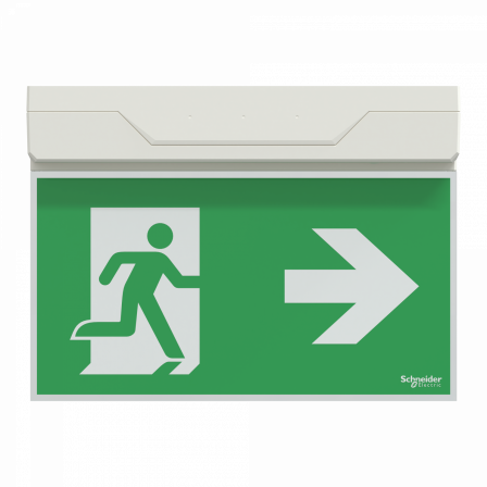 Dicube Exiway SmartExit - évacuation Bloc à tranche - LED - 45 lm - LiFePO4