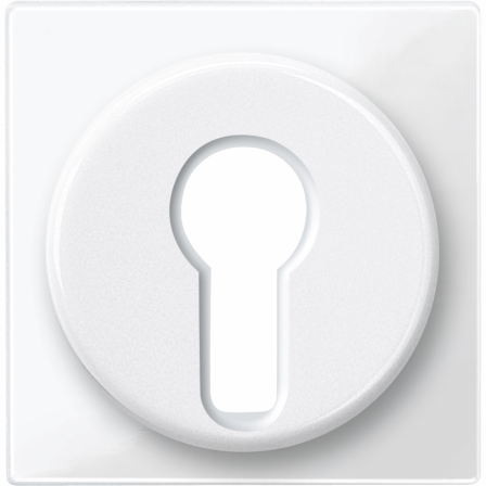 Merten M-Plan - enjoliveur pour commutateur à clé - blanc brillant