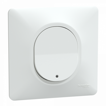 Ovalis - poussoir ferm lumineux - 10AX - LED bleu 250V - Blanc - griffe - plaque