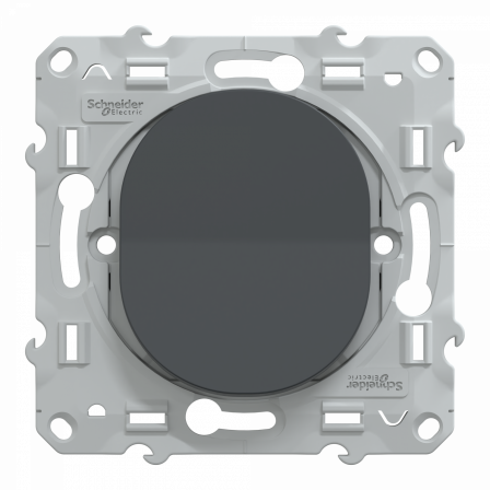 Ovalis - interrupteur permutateur - 10AX - Anthracite
