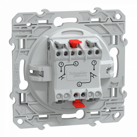 Ovalis - double poussoir fermeture - 10AX - Anthracite