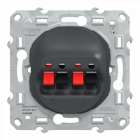 Ovalis - Prise haut-parleur 2 sorties - Anthracite