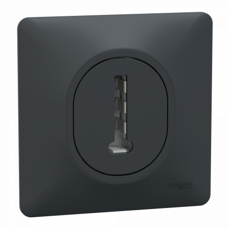 Ovalis - Prise téléphone en T - 8 contacts - avec plaque - Anthracite