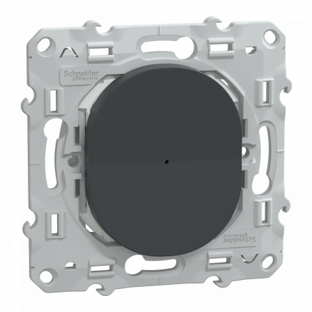 Wiser Ovalis - bouton poussoir - 10A - zigbee - Anthracite