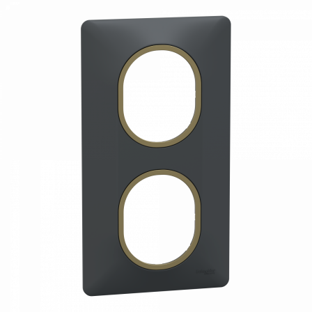 Ovalis - Plaque de finition - 2 postes Vertical - 71mm - Anthracite bague Laiton