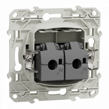 Odace - prise double RJ45 cat.6 STP - grade 2TV min à grade 3TV - anthracite