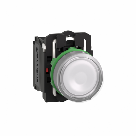BP lumineux blanc 1O+1F 110V