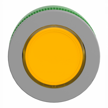 tête BP flush Ø22 étiq jaune