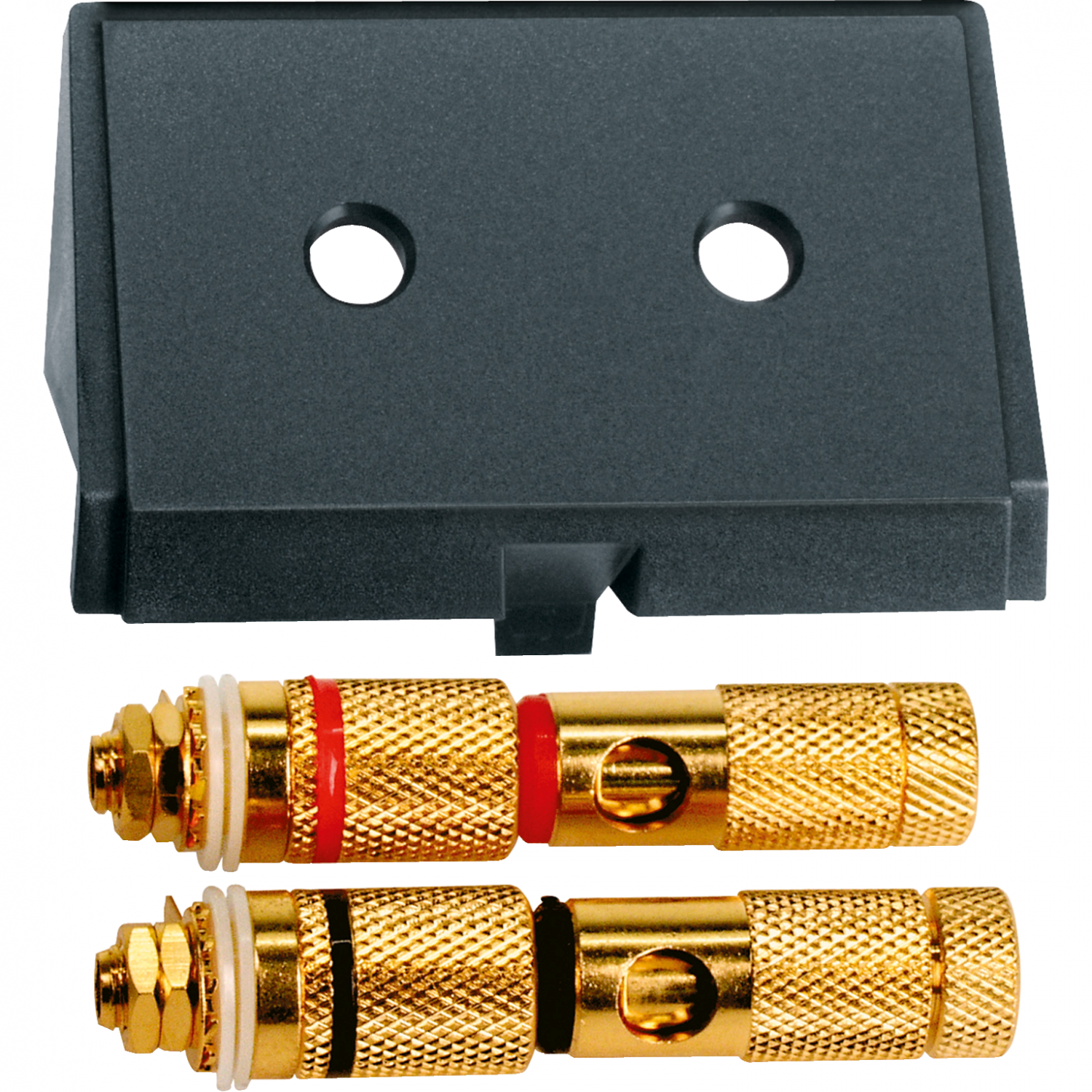 D-Life - adaptateur avec connexions haut-parleurs - compatible avec MTN4540-603x