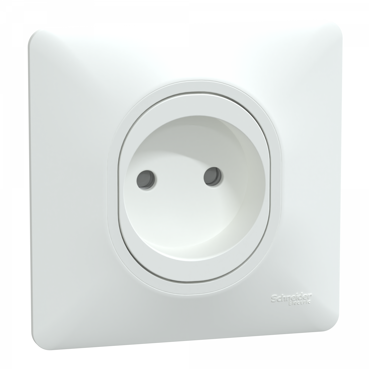 Ovalis - prise à puits - 2P - 16A - bornes vis - Blanc - avec griffes - plaque