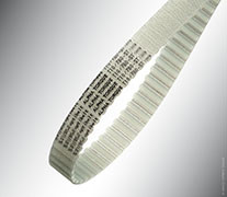 COURROIE DENTEE ALPHA TORQUE 32 T10/1880