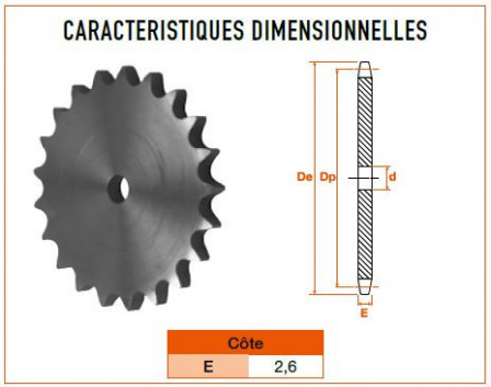 Disque 10 dents pas 6 mm simple
