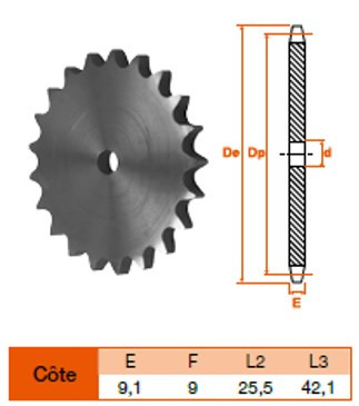Disque 100 dents pas 15,8 simple 
