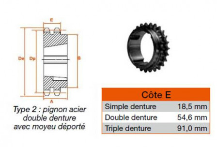 Pignon 19 dents pas 31,75 double 3030